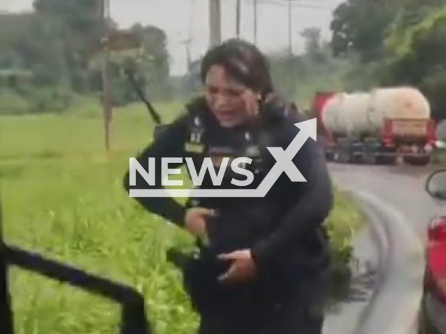 Swarm of bees attack security guards at the exit of Sao Luis in Brazil, Wednesday, April, 3, 2024. The armored car they were in collided with a post that had a bee hive.  Note: Picture is a screenshot taken from a video. (Newsflash)