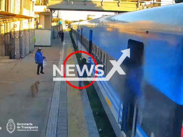 A woman falls on the tracks while trying to board a train in Moreno station in Buenos Aires, Argentina on Wednesday, April 17, 2024. The woman survived the incident. Note: Picture is a screenshot from a video. (Ministry of Transportation/Newsflash)