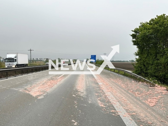 Image shows scattered sausages, undated photo. The incident happened when a lorry lost balance on the road in the suburb of Ruchheim, in the city of Ludwigshafen am Rhein, Rhineland-Palatinate State, Germany, on Wednesday, Apr. 24, 2024. Note: Licensed content. (Motorway Police Station Ruchheim/Newsflash)