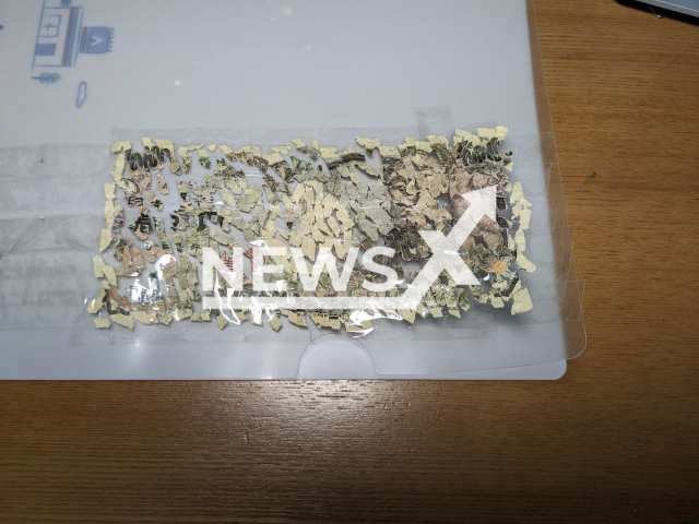 Picture shows shredded note, undated. Japanese teen pieces together shredded note for bank exchange. Note: Private photo taken from social media. (@C8kCGa5jT0LlbuA/Newsflash)