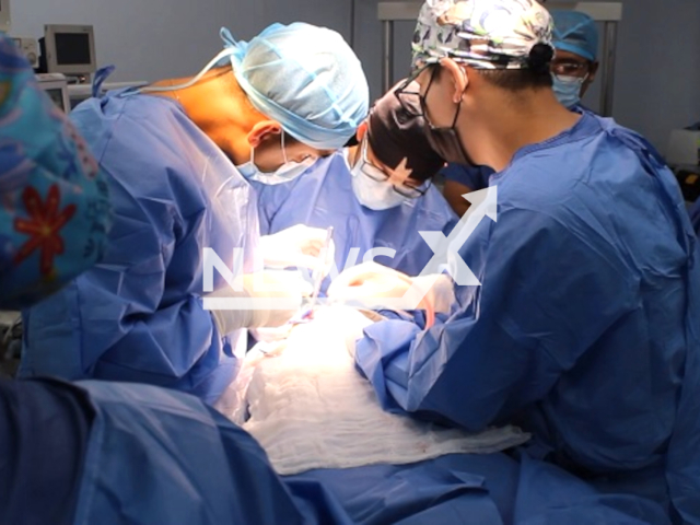 Picture shows the surgery, undated. EsSalud doctors successfully extracted more than 100 larvae from a patient who had them lodged inside the oral cavity in Peru. Note: Licenced photo. (EsSalud/Newsflash)