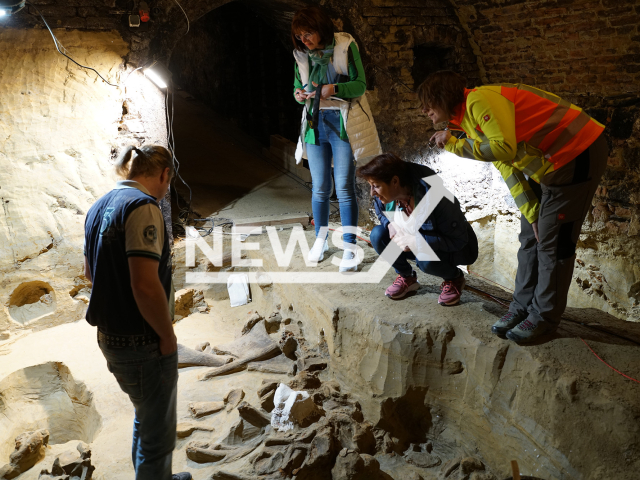 Image shows OeAI archaeologist Hanna Parow-Souchon (right), undated photo. She explained the location of the mammoth bones to the Langenlois City Councillor for Culture Sonja Fragner (centre) and the owner of the wine cellar Andreas Pernestorfer (left). Note: Licensed content. (OeAW-OeAI, Th. Einwoegerer/Newsflash)