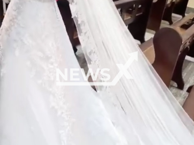 A dog lies down and rolls around on the bride's wedding dress as she walks down the isle, in Ribeirao Claro, Brazil, on Saturday, May 18, 2024.  The bride Maire Izabela Cortez Calegari was not upset saying she loves animals. Note: Picture is screenshot from a video. (@mairecalegari/Newsflash)