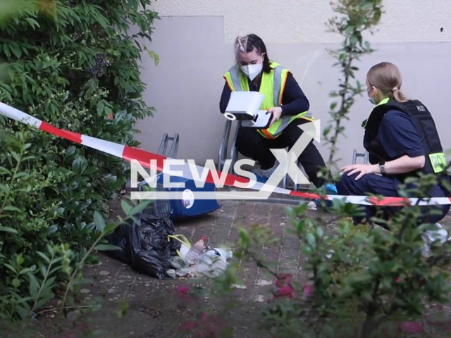 Image shows the cat basket, undated photo. A baby girl, aged 1, suffered fractures to her arms and legs after she was dropped from the 3rd floor of a building in Berlin, Germany. Note: Photo is a screenshot from a video. (Newsflash)