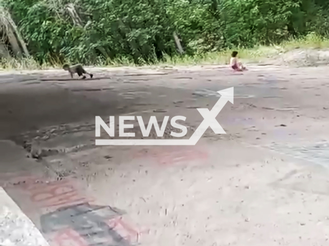 Mother forces three small children to crawl along a bridge slope in Nizhny Novgorod, Russia, undated. The stroller went down and knocked one child down. Note: Picture is screenshot from a video. (Newsflash)