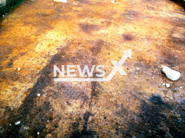 Both dark linear discolorations are the wagon tracks that the researchers discovered in one of the long barrows (LA3) of the Flintbek Sickle, Germany. Note: Photo is  from press statment. (Dieter Stoltenberg/Newsflash)