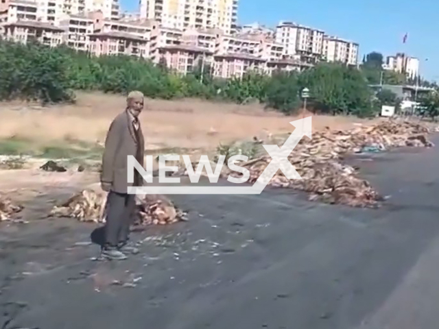 Picture shows animal remains thrown out on the roadside, in Gaziantep, Turkey, in June 2024. They were part of Eid al-Adha sacrifices. Note: Picture is screenshot from a video (Newsflash)