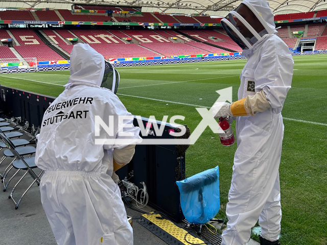 Image shows firemen remove the swarm of bees, undated photo. The bees had settled on the edge of the court in Stuttgart Arena, in Stuttgart, Germany, on Tuesday, June 18, 2024. Note: Licensed content. (Stuttgart Fire Department/Newsflash)