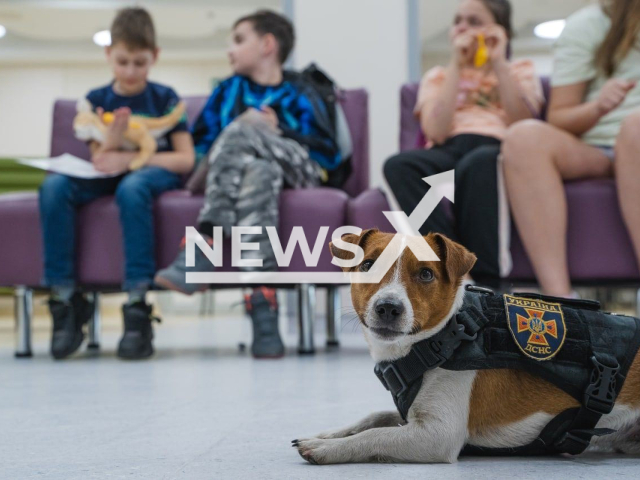 Patron and the team visited children at the hospital, in Kiev Ukraine, to teach them about the dangerous consequences of military actions, on 28th April. Note: Photo from emergency services. (State Emergency Service of Ukraine/Newsflash)