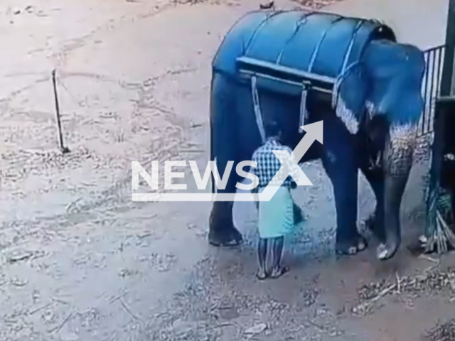 Photo shows the moment man was being attacked and crushed by an elephant at a safari center in Kallar, India. The man died. Note: Picture is screenshot from a video (Newsflash)