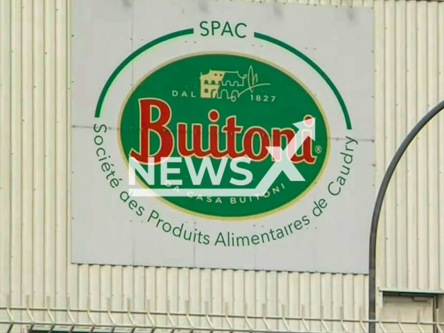 Illustrative image of the Italian food company Buitoni which have apologised for 20 EUR voucher offered to a family of a little girl contaminated with E. coli bacteria after eating Buitoni pizza. Note: Image is a screenshot from video. (Newsflash)