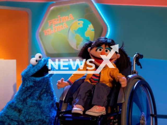 Image shows Elin, a Muppet wheelchair user, undated photo. Germany's Sesame Street introduced Elin in a bid to become more inclusive. Note: Licensed content. (Sesame Workshop/Newsflash)