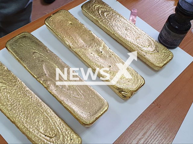 Photo shows seized gold that was illegally mined and brought from the Republic of Sakha (Yakutia) in the Russian Far East, undated. In total, it was illegally mined more than 23 kilograms of gold. Note: Photo is obtained from the Trans-Baikal Line Directorate of the Ministry of Internal Affairs of Russia for Transport. (@zbutmvd/Newsflash)