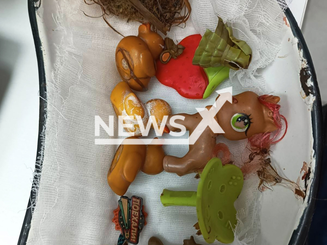 Photo shows toys removed from a dog at the state veterinary clinic of Kanavinsky district, Nizhny Novgorod, Russia on Wednesday, July 17, 2024. The dog swallowed and hid the toys in itself out of greed. Note: Photo is obtained from the State Veterinary Administration of Nizhny Novgorod. (@nnovvet/Newsflash)