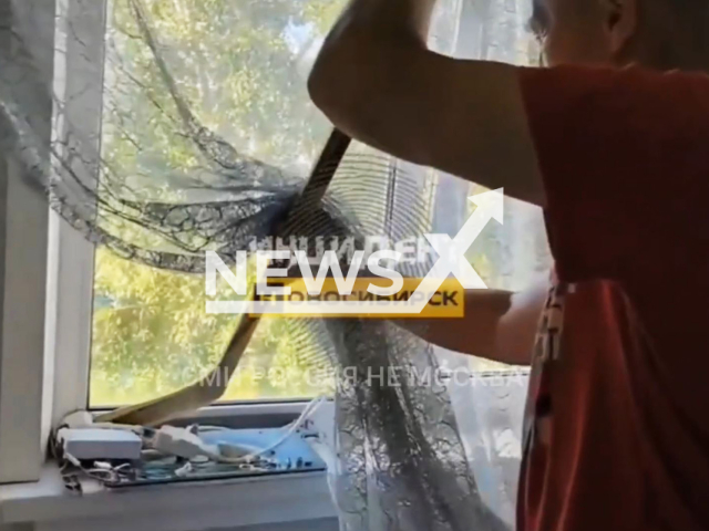 Footage shows men killing bats in their apartment in Novosibirsk, Russia, undated. The video caused a wave of anger and animal activists would like to sue men for cruelty to animals. Note: Picture is screenshot from a video (Newsflash)