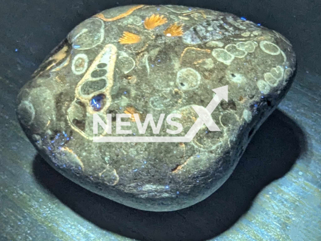 Image shows the stone under UV light, undated photo. It was found by Sarah Zech, 30, near Niendorf, Schleswig-Holstein State, Germany. Note: We have obtained permission to use the photo from Sarah Zech. (Sarah Zech/Newsflash)