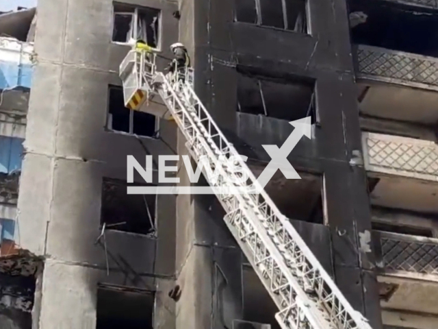 Ukrainian workers rescuing a cat from a bombed building in Borodyanka, Kyiv, Ukraine. Note: This picture is a screenshot from the video. (@MVS_UA/Newsflash)