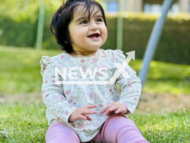 Picture shows Alina, 1, undated. She was found in the water the day before her second birthday in Nieuwkoop, Netherlands. Note: Private photo taken from social media. (Belal Gh/Newsflash)