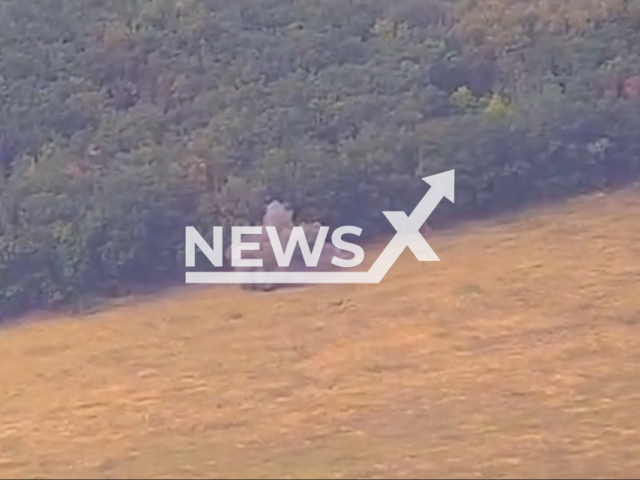 Russian Lancet drone successfully targets Ukrainian self-propelled artillery 'Krab' near the Ukrainian Rusian border in the Kursk Oblast, August 7, 2024.
Note: Photo is a screenshot from a video. (Clipzilla)