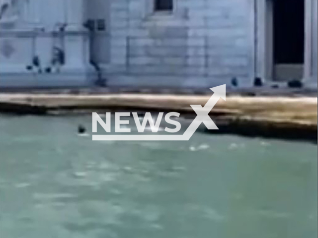 Two tourists bath in the water in front of the monumental cemetery in Venice, Italy, Wednesday, Aug. 14, 2024. They face a risk a complaint for violating the local police law.  Note: Photo is screenshot from a video (Newsflash)