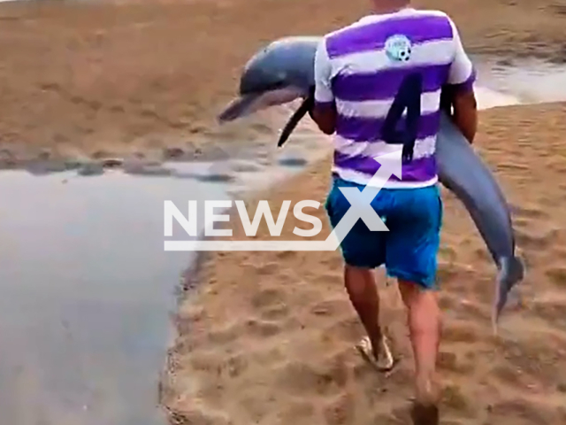 Man saves dolphin stranded in dry stretch of Madeira River in AM, Brazil, undated. Last year, reportedly over a 100 dolphins died in Lake Tefe due to drought. Note: Photo is a screenshot from a video. (Newsflash)