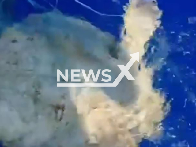 Roberto Da Crema releases a turtle entangled in fishing net in Lampedusa, Italy, undated. He is Italian TV personality. Note: Photo is screenshot from a video(@roberto.dacrema/Newsflash)