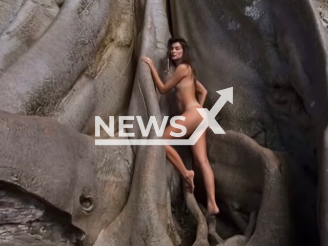 Alina posing naked on an ancient tree considered sacred in Bali, in May, 2022. 
Note: Photo is a screenshot from a video. (Newsflash)