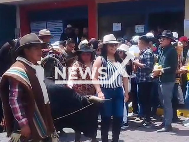 Image shows the bull attacking the woman, undated photo. It took place during a festival in Pichincha, Ecuador. Note: Photo is a screenshot from a video. (Newsflash)