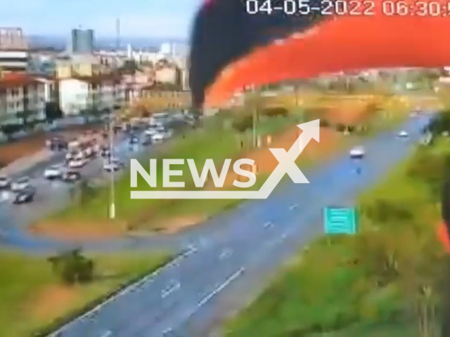 A toucan lands in front of camera on the BR-040, in Valparaíso de Goas, Brazil, on 4th May. Note: Picture is a screenshot from a video (Newsflash)