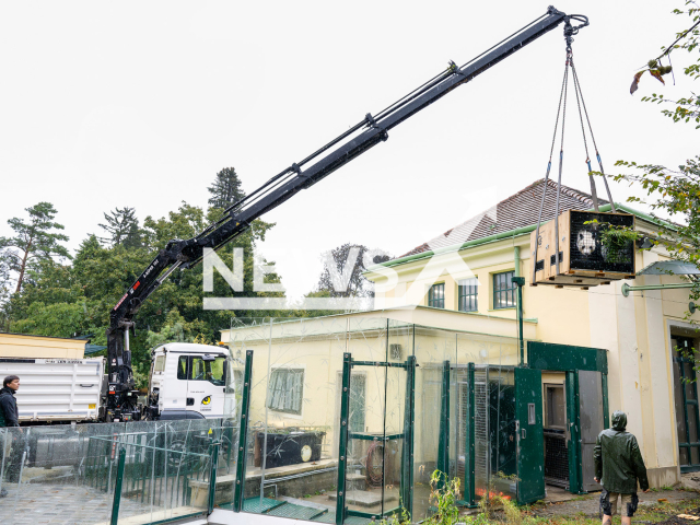 Image shows the transport crate with the male panda being lifted out of the enclosure, undated photo. Pandas Yang Yang and Yuan Yuan left Schoenbrunn Zoo, in Vienna, Austria, in September 2024. Note: Licensed content. (Daniel Zupanc/Newsflash)