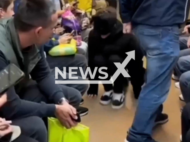 A teenager jumps into a carriage, starts hissing and rubbing his face against random passengers in a subway car in Yekaterinburg, Russia on Monday, Sep. 30, 2024. He allegedly identified himself as a cat. Note: Photo is a screenshot from a video. (Newsflash)