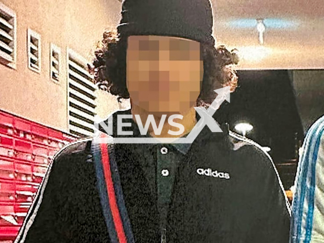 Image shows the 16-year-old Syrian suspect, undated photo. He faces five years behind bars in Vienna, Austria. Note: Private photo from local media. (Newsflash)