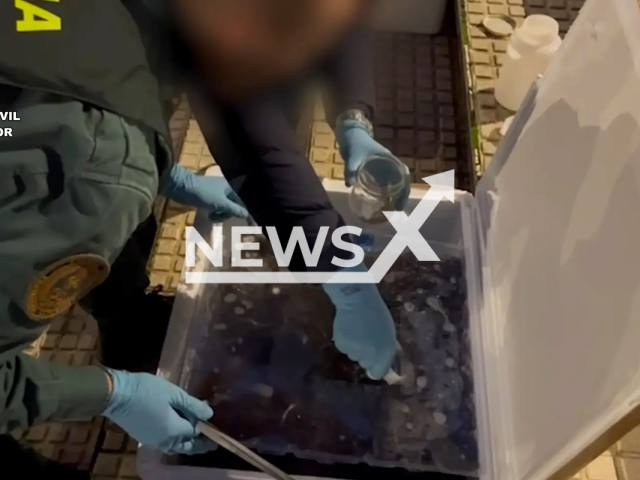 Image shows investigators with the seized glass eels, undated photo. They seized five tonnes of trafficked glass eels and identified new smuggling routes in Mauritania and Senegal. Note: Licensed content. (Europol/Newsflash)