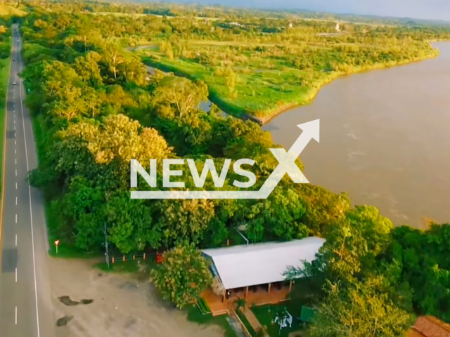 Image shows Magdalena Medio, Department of Antioquia, Colombia, undated photo. Pablo Escobar's hippos are reportedly being illegally traded in the area. Note: Photo is a screenshot from a video. (Newsflash)