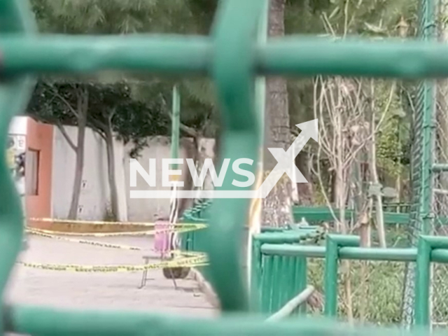 The Zoo in Parque del Pueblo in the State of Mexico, where the arm of a 10-year old boy was mauled by a wolf, in May 2022. Note: Photo is a screenshot from a video(Newsflash).