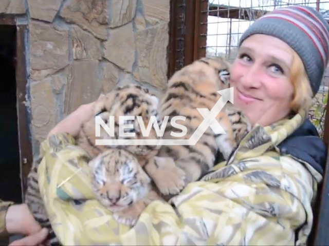 Leokadia Vladimirovna Perevalova poses in undated photo. She was mauled to death by three lions while cleaning their enclosure in Taigan Park, Crimea, on Wednesday, 16 October, 2024. Note: Picture is taken from social media. (Irina Nikolaeva/NF/newsX)