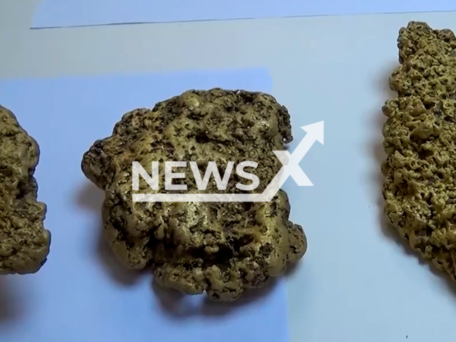 Footage shows seized gold from a group of illegal gold miners in Chelyabinsk Oblast, Russia on Monday, Oct. 21, 2024. Gold nuggets and homemade bars, equipment for mining were seized from the detainees. Note: Photo is a screenshot from a video. (FSB, NF/newsX)