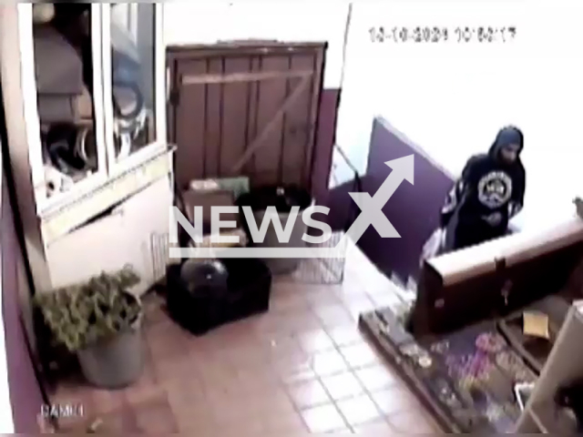 A thief enters the home and steals a Dutch Lop breed rabbit by holding it by its ears in Kagıthane in Istanbul in Turkey on Friday, Oct. 18, 2024. Note: Photo is a screenshot from a video. (NF/newsX)