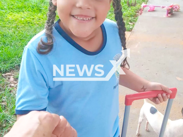 Alice Silvestre da Silva, aged 8, poses in undated photo. She passed away in Campo Grande, Mato Grosso do Sul State, Brazil, on Friday, Oct. 25, 2024. Note: Private photo from social media. (NF/newsX)