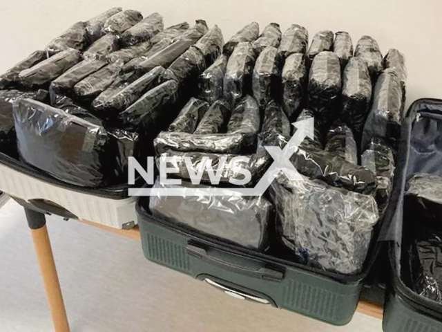 Image shows the two suitcases with 33 kilogrammes of cannabis, undated photo. A British couple was brought at Korneuburg District Court, Lower Austria State, Austria. Note: Private photo from local media. (NF/newsX)