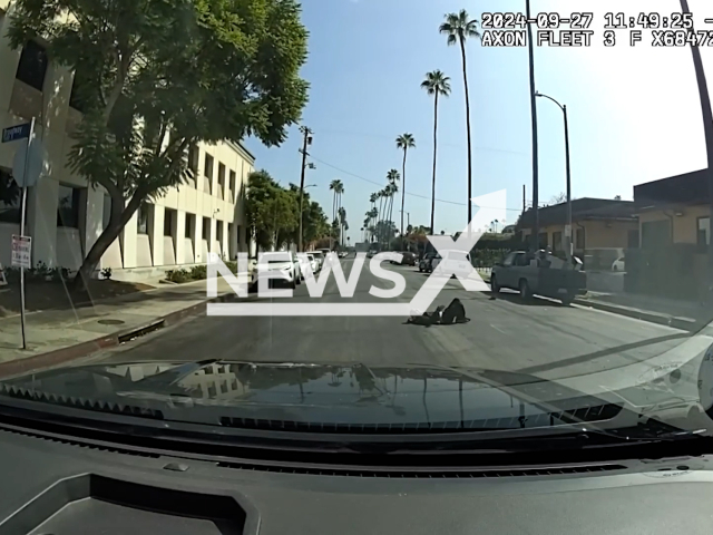 The victim clings to the truck as the suspect Bryan Rodriguez, 33 speeds off with the stolen box truck, but later falls and is fatally run over in Los Angeles in the United States on Friday, Sep. 27, 2024. Note: Photo a is screenshot from a video (@LAPDHQ/NF/newsX)