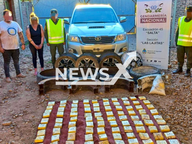 Image shows the 58 kilogrammes of cocaine, undated photo. Cops arrested a couple in Salta, Argentina. Note: Licensed content. (Argentine National Gendarmerie/NF/newsX)