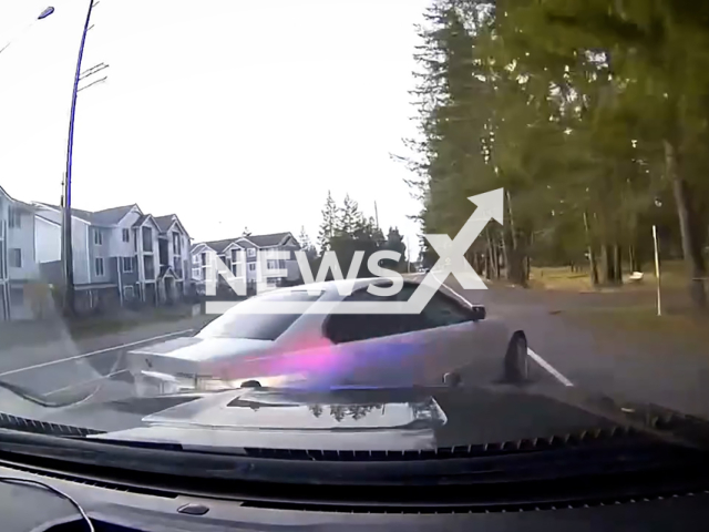 Dashcam footage shows a Thurston County deputy using a PIT maneuver to stop a BMW during a high-speed pursuit that ended with the driver crashing into a tree in Thurston County, Washington in the United States on Friday, Nov. 8, 2024.
Note: Photo a is screenshot from a video (Sheriff Sanders/NF/newsX)