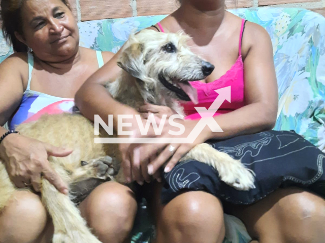 Cassia Oliveira, 38, next to her mother, Antonia Maria Santos, 59, with Mel, a dog was rescued after four months trapped in the Maricas Islands, Brazil, when it ran away scared by News Years Eve fireworks. Note: Photo from a press statment. (Prefeitura Municipal de Marica/Newsflash)