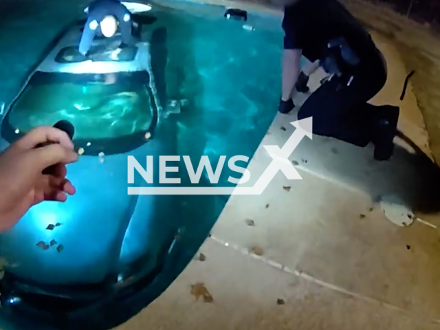 Officers rescue a man trapped in his car in a swimming pool in Phoenix, Arizona in the United States on 31st October 2024.
The man told officers he accidently stepped on the gas too hard.
Note: Photo a is screenshot from a video (@PhoenixPolice/NF/newsX)