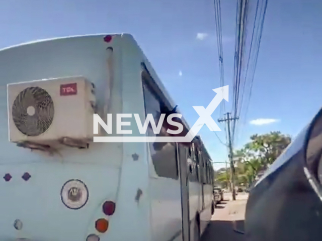 Image shows a horse taking a bus ride, undated photo. It happened in Porto Alegre, Rio Grande do Sul, Brazil, on Monday, Nov. 18, 2024. Note: Photo is a screenshot from a video. (NF/newsX)