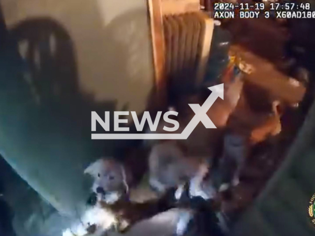 Footage shows officers enter the home of Darlene Hutchinson, 66, and her son Arthur Melvin Doliver, 36, uncovering 46 dogs and 8 cats living in horrific conditions in Sebring, Florida in the United States on Tuesday, Nov. 19, 2024. The suspects were arrested on 54 counts of animal abuse, and the rescued animals are now in the care of the Humane Society of Highlands County. Note: Photo a is screenshot from a video(@HighCoSheriff/NF/newsX)