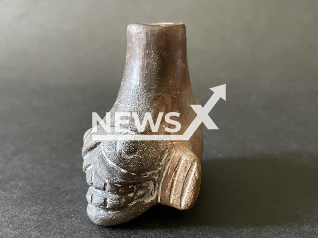 Image shows the Aztec skull pipe, undated photo. It produced terrifying screams and was used during rituals. Note: Licensed content. (Sascha Fruehholz/NF/newsX)