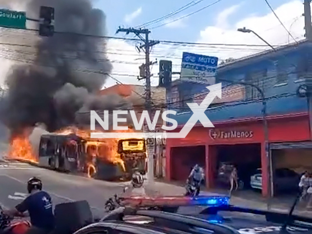 Bus on fire crashes into pole in Sao Paulo, Brazil, Monday, Nov. 25, 2024. Passengers managed to get out on time. Note: Photo is a screenshot from a video. (NF/newsX)