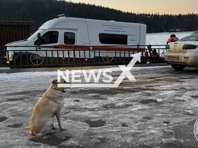 Photo shows the dog of the man who fell through ice in Karaidelsky District, Republic of Bashkortostan, Russia on Wednesday, Nov. 26, 2024. The dog of the man has been waiting for him on the iced river. Note: Emergency photo. (@goskomitetrb, NF/newsX)